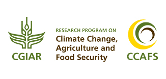 Creative Agency - Our Client